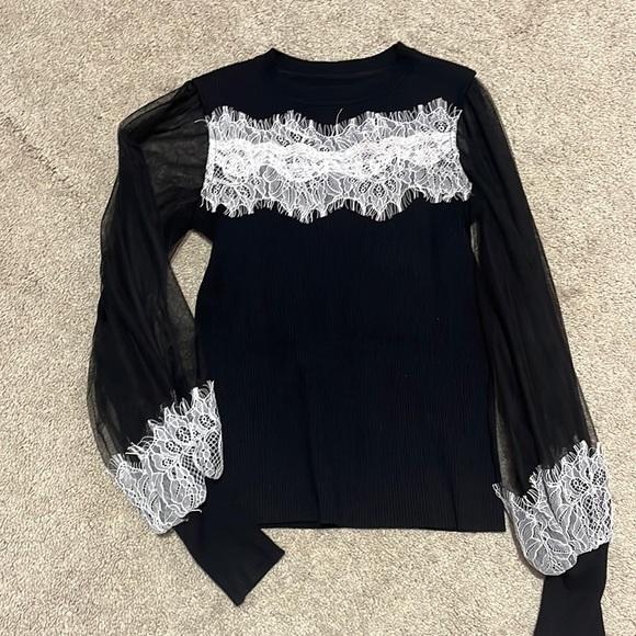 Chicwish Sweaters - Chicwish lace black mesh sweater ribbed small